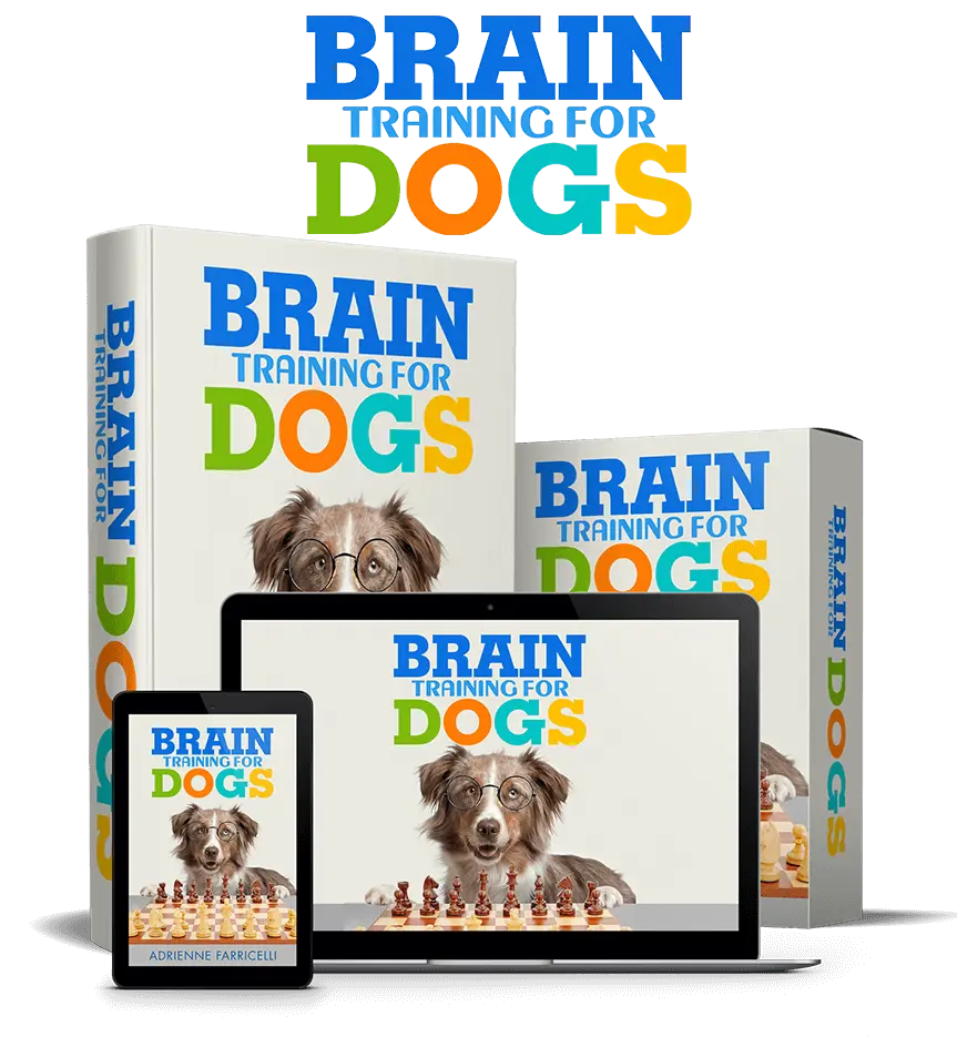 Brain Training for Dogs complete program package by Adrienne Farricelli